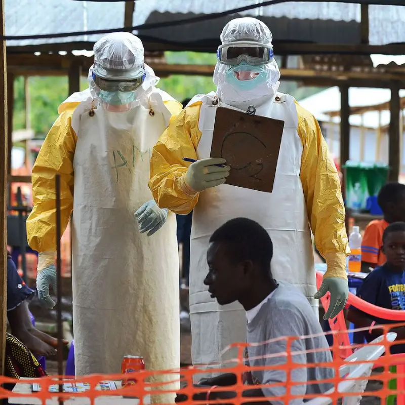 IFD Logistics Sierra Leone Testimonials